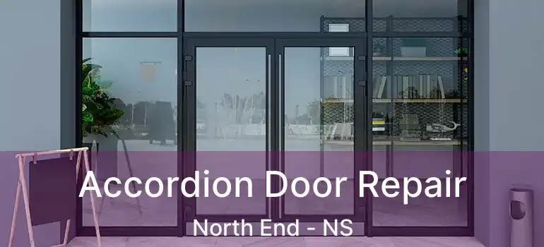  Accordion Door Repair North End - NS
