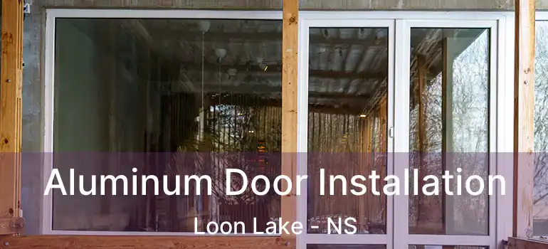  Aluminum Door Installation Loon Lake - NS
