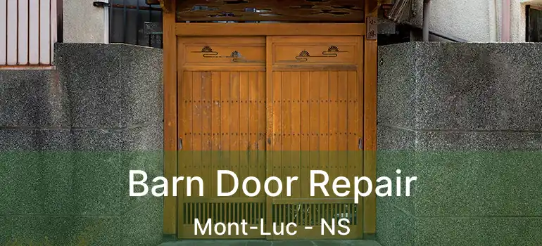  Barn Door Repair Mont-Luc - NS