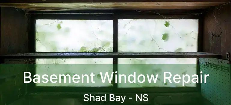  Basement Window Repair Shad Bay - NS