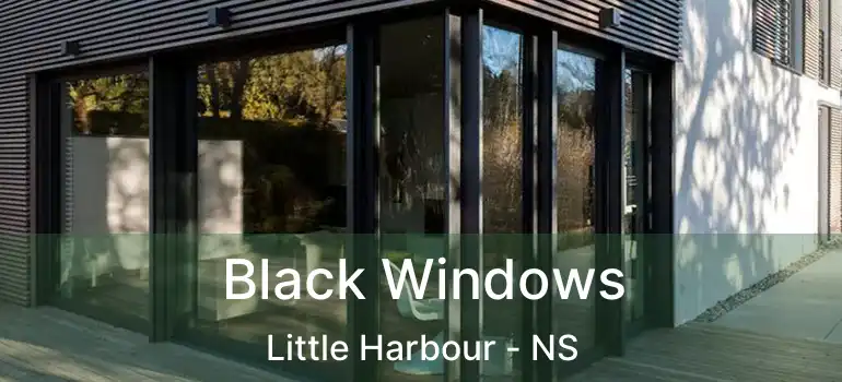  Black Windows Little Harbour - NS