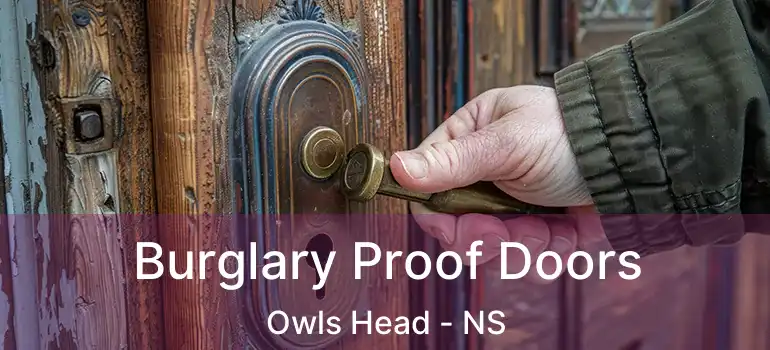  Burglary Proof Doors Owls Head - NS