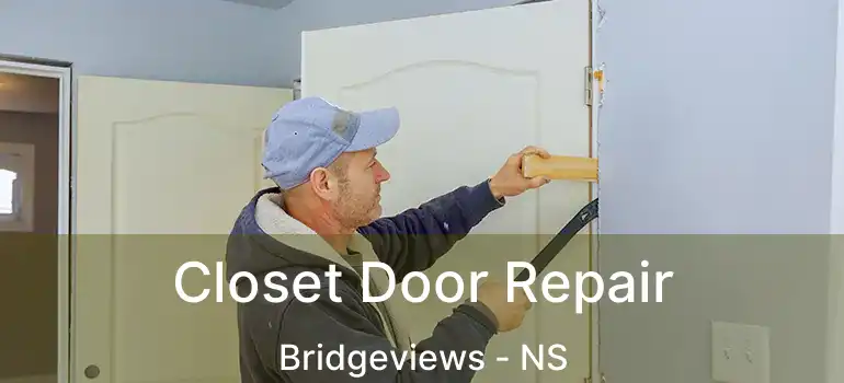  Closet Door Repair Bridgeviews - NS