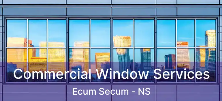  Commercial Window Services Ecum Secum - NS