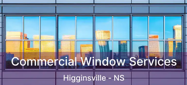  Commercial Window Services Higginsville - NS
