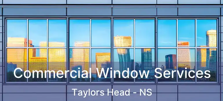  Commercial Window Services Taylors Head - NS