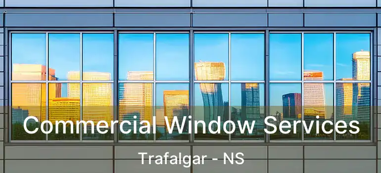  Commercial Window Services Trafalgar - NS