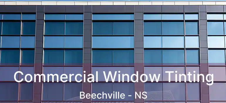  Commercial Window Tinting Beechville - NS