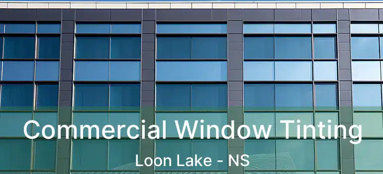  Commercial Window Tinting Loon Lake - NS