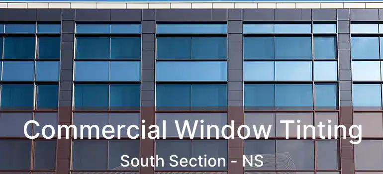  Commercial Window Tinting South Section - NS