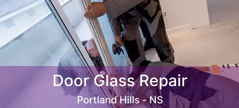  Door Glass Repair Portland Hills - NS