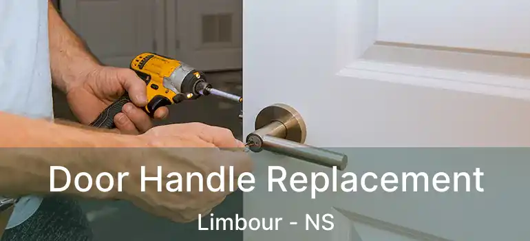  Door Handle Replacement Limbour - NS