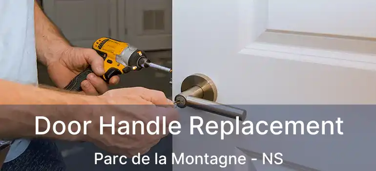  Door Handle Replacement Parc de la Montagne - NS
