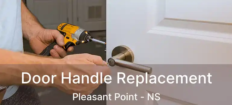  Door Handle Replacement Pleasant Point - NS