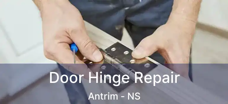  Door Hinge Repair Antrim - NS