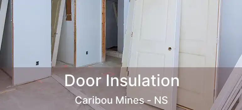  Door Insulation Caribou Mines - NS