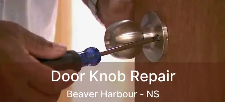  Door Knob Repair Beaver Harbour - NS