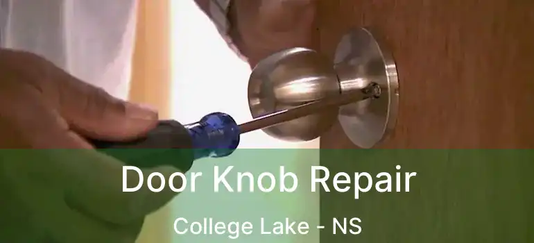  Door Knob Repair College Lake - NS