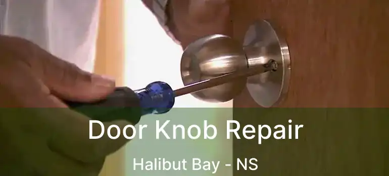  Door Knob Repair Halibut Bay - NS