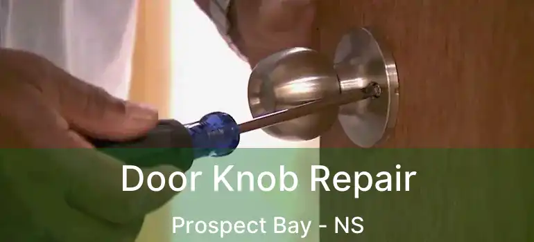 Door Knob Repair Prospect Bay - NS