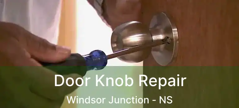  Door Knob Repair Windsor Junction - NS
