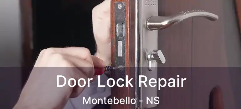  Door Lock Repair Montebello - NS