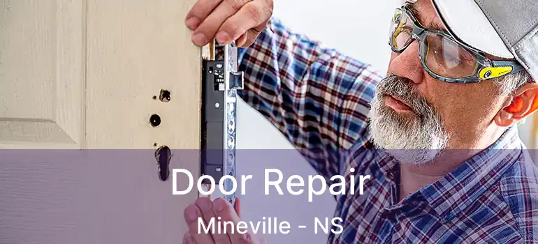  Door Repair Mineville - NS