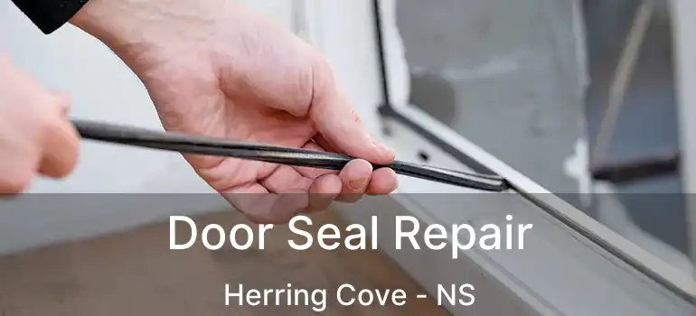  Door Seal Repair Herring Cove - NS