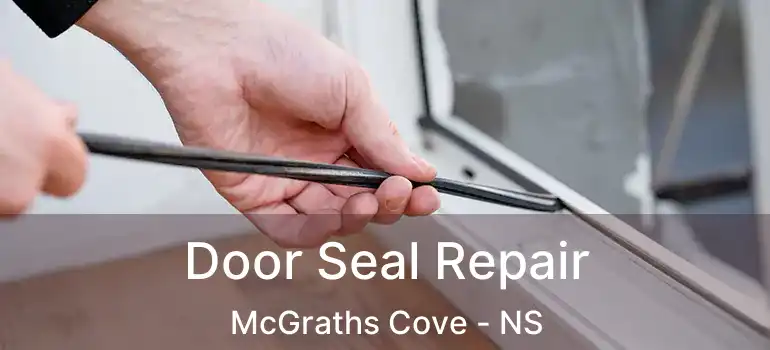  Door Seal Repair McGraths Cove - NS