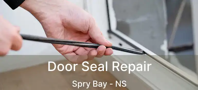  Door Seal Repair Spry Bay - NS