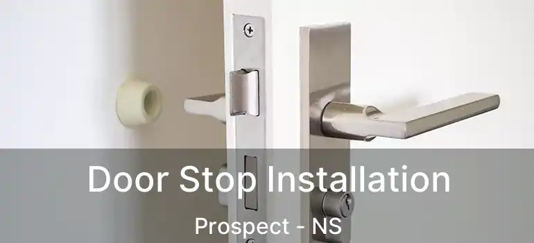  Door Stop Installation Prospect - NS