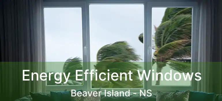  Energy Efficient Windows Beaver Island - NS