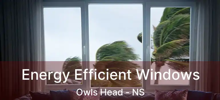  Energy Efficient Windows Owls Head - NS