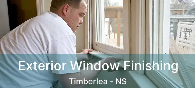  Exterior Window Finishing Timberlea - NS
