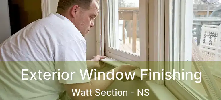  Exterior Window Finishing Watt Section - NS