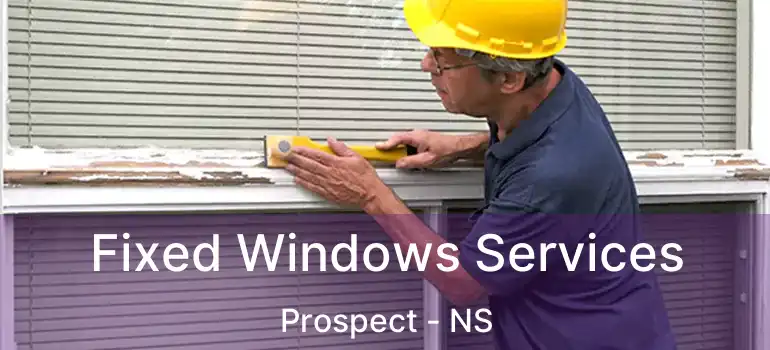 Fixed Windows Services Prospect - NS