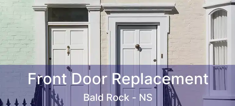  Front Door Replacement Bald Rock - NS