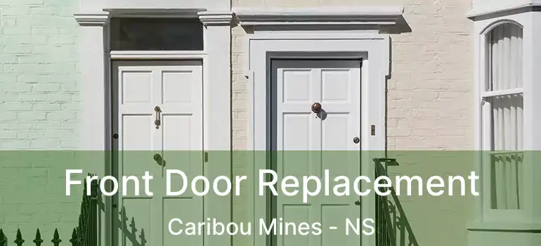  Front Door Replacement Caribou Mines - NS