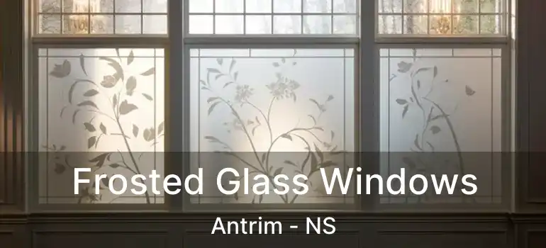  Frosted Glass Windows Antrim - NS