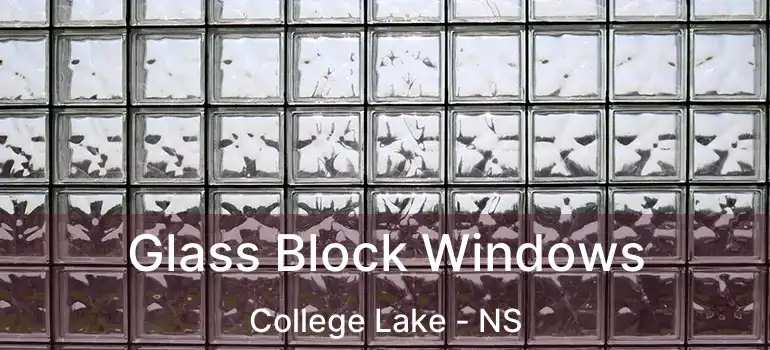  Glass Block Windows College Lake - NS