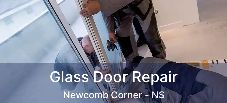  Glass Door Repair Newcomb Corner - NS