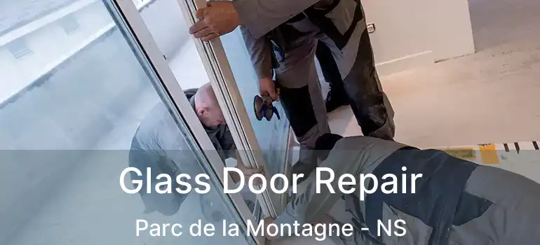  Glass Door Repair Parc de la Montagne - NS