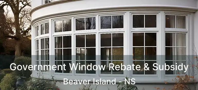  Government Window Rebate & Subsidy Beaver Island - NS