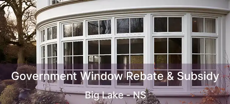  Government Window Rebate & Subsidy Big Lake - NS