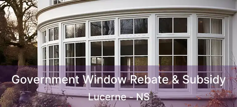  Government Window Rebate & Subsidy Lucerne - NS