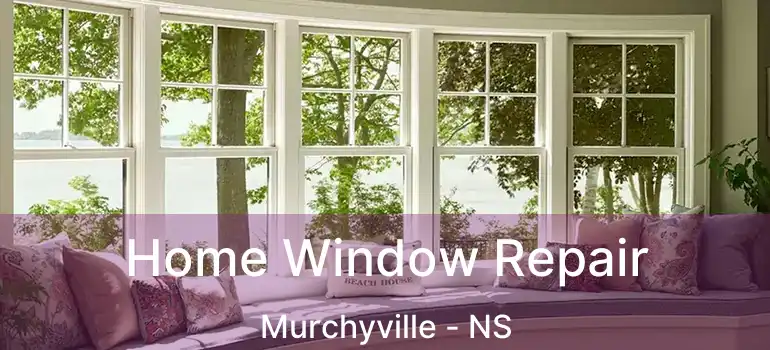  Home Window Repair Murchyville - NS