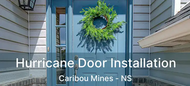  Hurricane Door Installation Caribou Mines - NS
