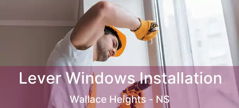  Lever Windows Installation Wallace Heights - NS