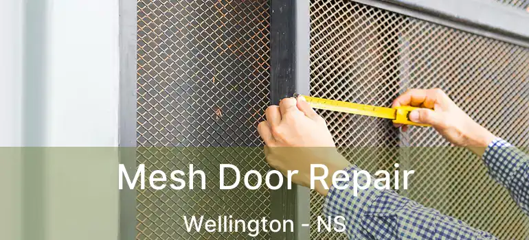  Mesh Door Repair Wellington - NS