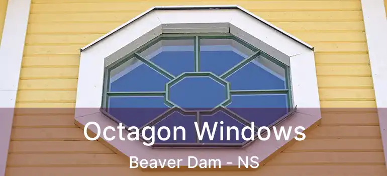  Octagon Windows Beaver Dam - NS